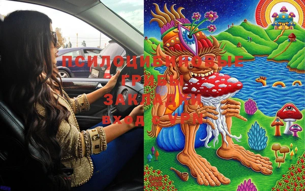 марки lsd Балабаново