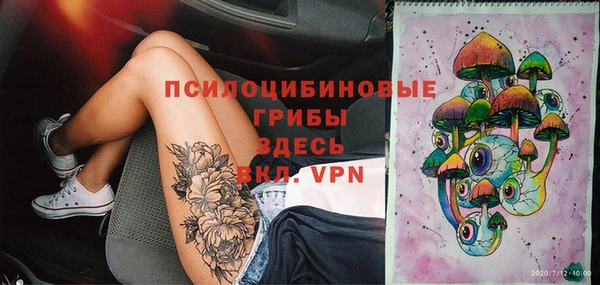 стафф Баксан