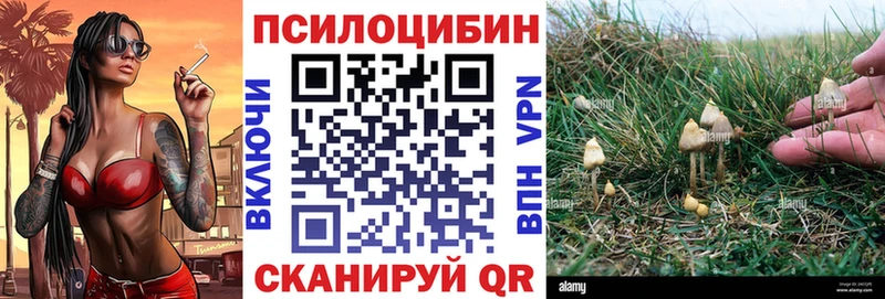 Галлюциногенные грибы MAGIC MUSHROOMS Купить закладки Вязники