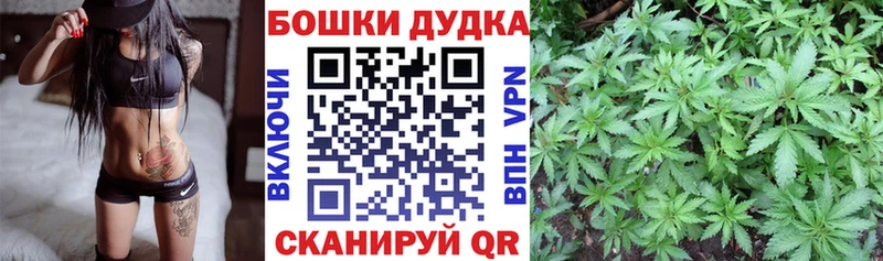 Шишки марихуана SATIVA & INDICA  Купить закладки  Вязники 